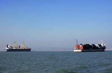 寧波國際貨代的主要職責是什么？